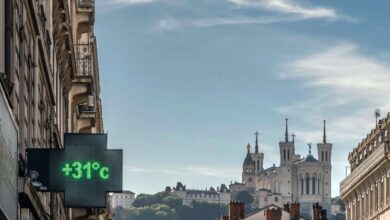 29,8° en Brest, 33,8° en Bergerac… Se batieron muchos récords de temperatura… y el lunes debería ser peor 29,8° en Brest, 33,8° en Bergerac… Se batieron muchos récords de temperatura… y el lunes debería ser peor